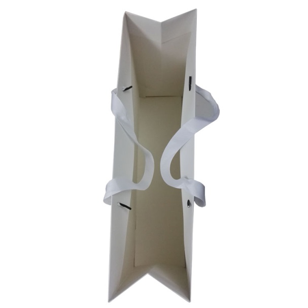 eco friendly paper bags